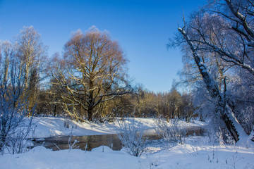 Winter landscape in clear weather. Morning bright sun. Snow plays shine. Frosty Snow Park