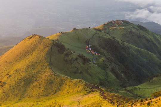The beauty of the teletubbies hill on Mount Merbabu in the morning