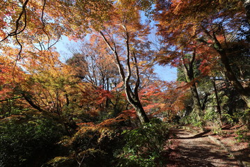 談山神社の紅葉