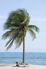 Woman on Chaise Under Palm Tree