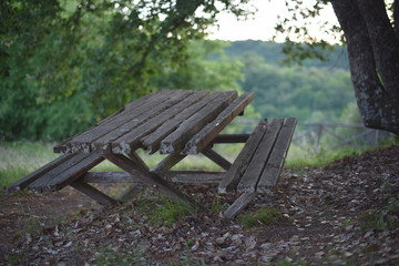 wooden bench in the park