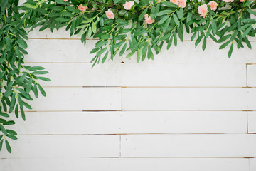 flower background, backdrop wedding decoration, rose pattern, Wall flower, colorful background,...