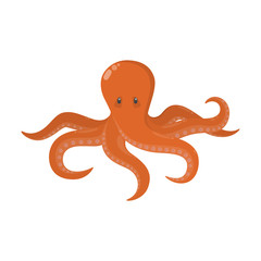 Cute red octopus from the ocean. Marine animal