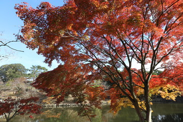 奈良公園　浮見堂
