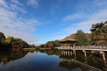 Fototapeta premium 奈良公園 浮見堂