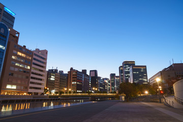 Fototapeta na wymiar 大阪中之島地区の夜景