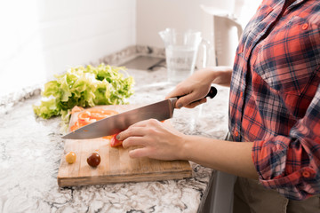 Close up portrait of unrecognizable young woman cooking dinner standing at counter in cozy kitchen at home, copy space