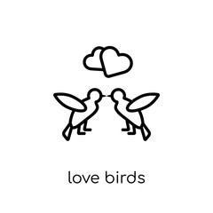 Love Birds icon from Wedding and love collection.