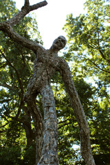 Fantasy image of an Angry tree man in the forest