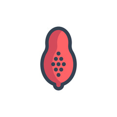 papaya icon vector with fill outline style. fruit icon