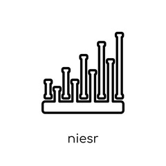 NIESR icon. Trendy modern flat linear vector NIESR icon on white background from thin line Business collection
