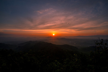 Natural wallpapers (mountains, morning light, fog, trees) scattered around, Lanscape background of fresh air and fresh air.