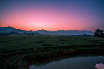 The background of Lanscape (fields, mountains, fog, trees) with intimate view. And fresh in the sight of the journey, light wallpaper of the sun in the morning.