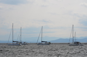 Fototapeta premium sailboats on the lake