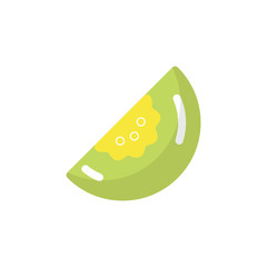 melon icon vector flat style. fruit icon