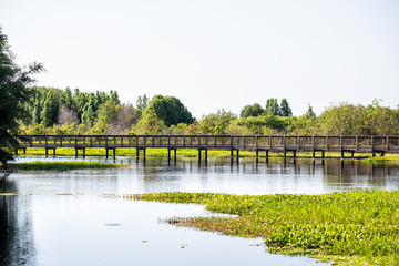 Landscape of wooden boardwalk bridge in marsh swamp, wetlands in Paynes Prairie Preserve State Park...