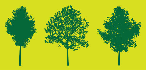 three vector isolated silhouetted green trees