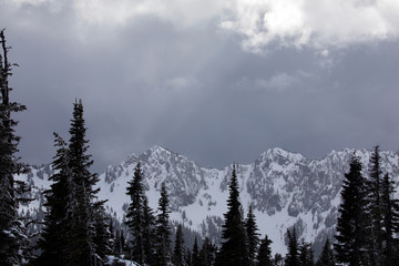 Mount Ranier National Park, WA, USA. 