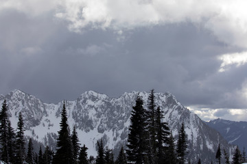 Mount Ranier National Park, WA, USA. 