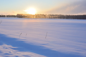 十勝平野　厳冬の朝