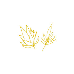 Vector hand drawn seaweeds