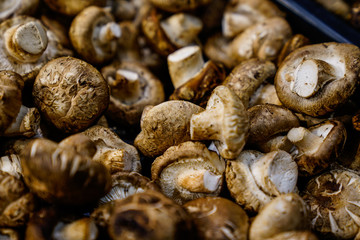 mushrooms in a pan