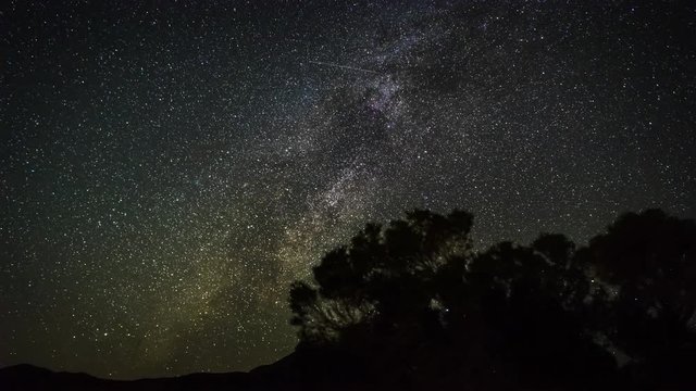 4k Timelapse movie film clip of moving star trails in night sky. The Milky Way galaxy rotating over the trees in Summer time. Video taken in Death Valley.