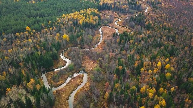 Aerial view of the autumn forest with river DF
