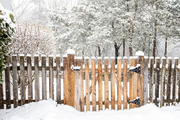Wooden fence gate with lock, locked latch covered in white snow at heavy snowing snowstorm, storm, falling snowflakes by house, home with forest, bushes in background - Powered by Adobe