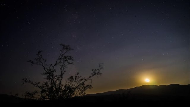 4k Timelapse movie film clip of moonset sunset with star trails in night sky. The Milky Way galaxy rotating over the trees in Summer time. Video taken in Death Valley.