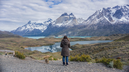 Wildlife and Nature at Parque Torres del Paine, Chile, Patagonia