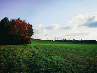 Obraz premium Herbstlandschaft