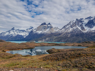 Wildlife and Nature at Parque Torres del Paine, Chile, Patagonia