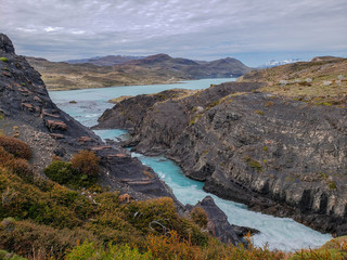 Fototapeta na wymiar Wildlife and Nature at Parque Torres del Paine, Chile, Patagonia