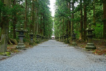 静寂に包まれた参道