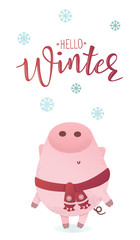 Cute piggy character in a winter scarf looking up.