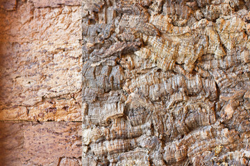 texture wood background