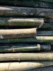 bamboo thailand background texture