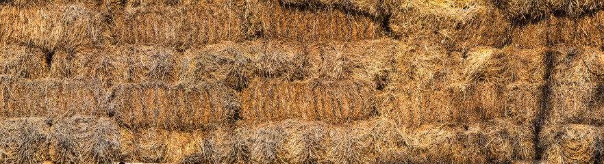 Winter fodder for domestic animals.