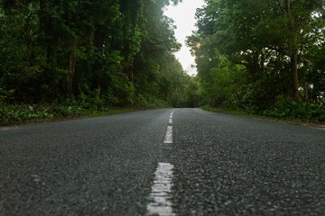 road in the forest