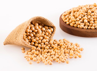 Dry soybeans - Glycine max. Top view