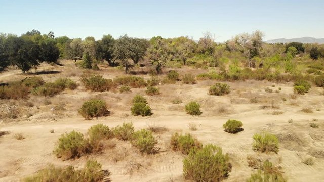 Aerial fly over of dry desert land and plants.