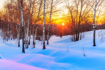 Red sunset in frozen winter forest