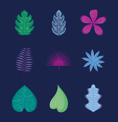 set of tropical leafs and flowers