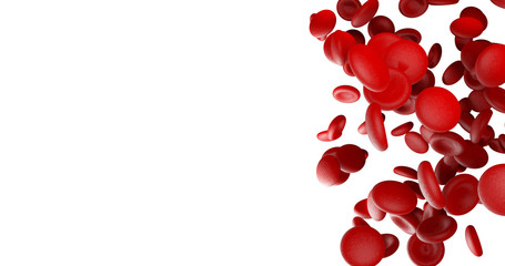 Red blood cells on white blank space on left side