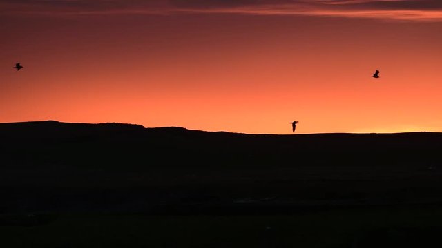 Impressive sunrise in Scotland
