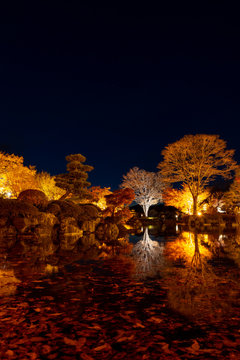 群馬県藤岡市 桜山公園のライトアップと水面に浮かぶ落ち葉 Stock Photo Adobe Stock 群馬県藤岡市 桜山公園のライトアップと水面に浮かぶ落ち葉 Stock Photo Adobe Stock