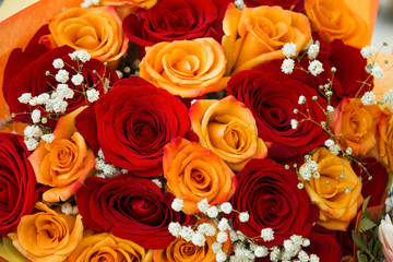 Natural red roses background. bouquet of roses