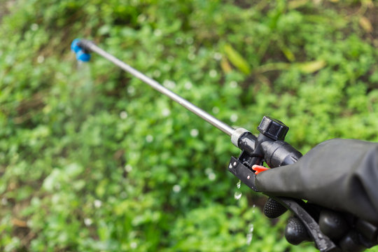 Farmers Are Spraying Herbicide On Garden