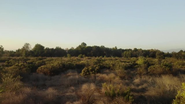 Aerial fly over of dry desert land and plants.